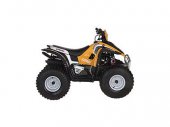 2009 Keeway ATV 100 photo